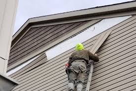 Best Siding Painting and Refinishing  in Winnebago, IL